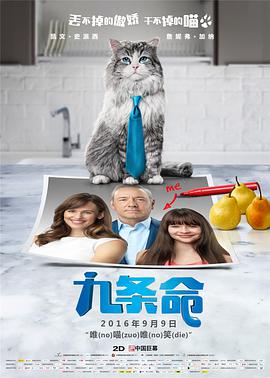 成人做爰的视频